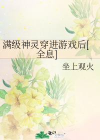 满级神灵穿进游戏后[全息]