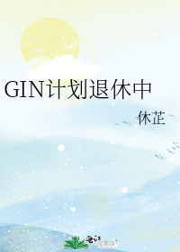 GIN计划退休中